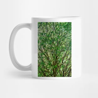 Muir Woods Study 23 Mug